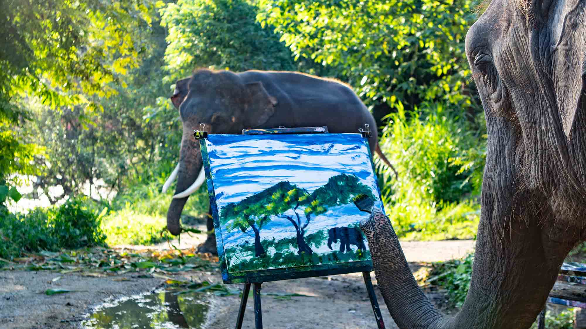 WK07_Ein Elefant steht Modell_2000px