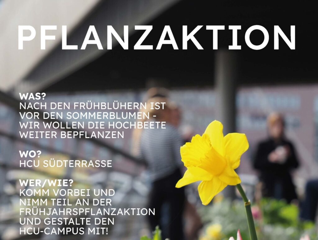 Gemeinsame Pflanzaktion auf der HCU-Südterrasse: Hochbeete bepflanzen und den Campus in der HafenCity mitgestalten.
