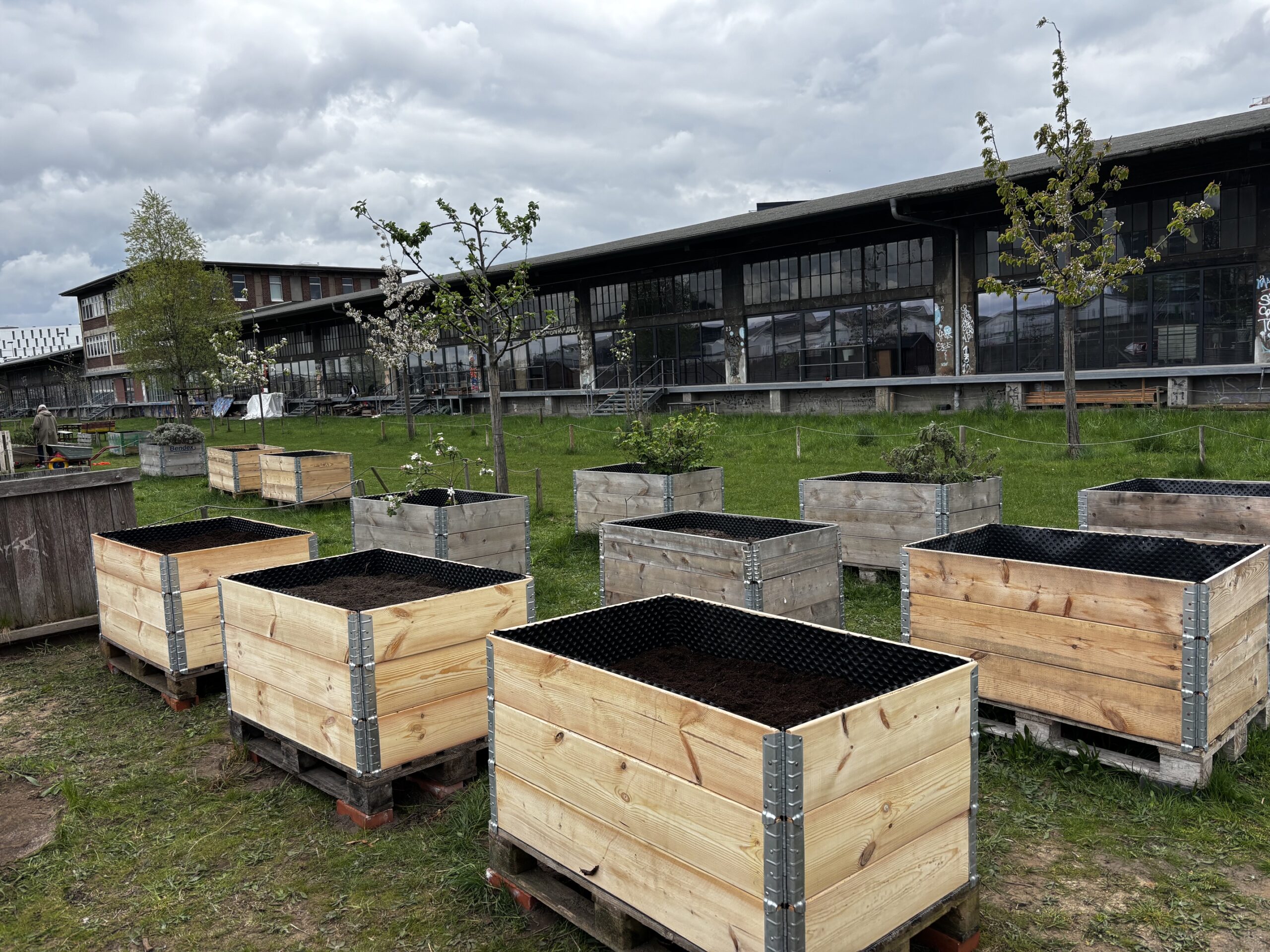 Gemeinsam anpacken: Im Oberhafen Garten entstehen Hochbeete, die der Nachbarschaft Raum zum Gärtnern und Begegnen bieten.