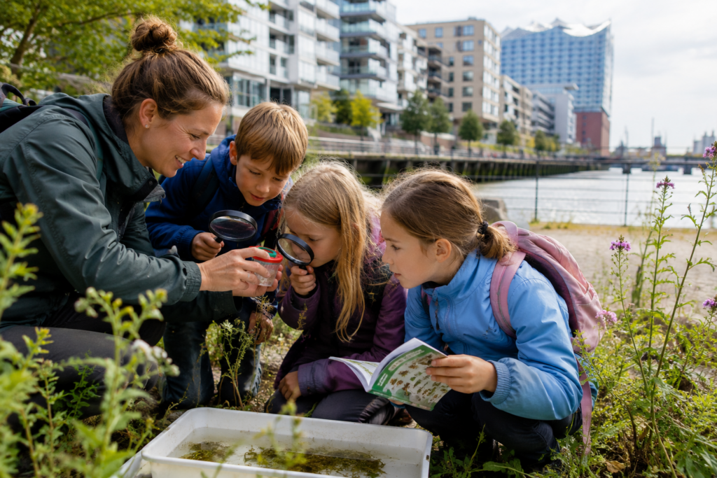 Spurensuche durch die HafenCity: Bei „Entdecke die Stadtnatur“ erforschen Kinder, Jugendliche und Familien, was zwischen Elbe, Pflanzen und Asphalt lebt.